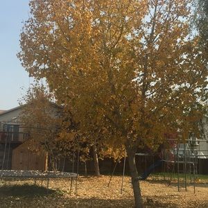 Meet your Posher, Deb